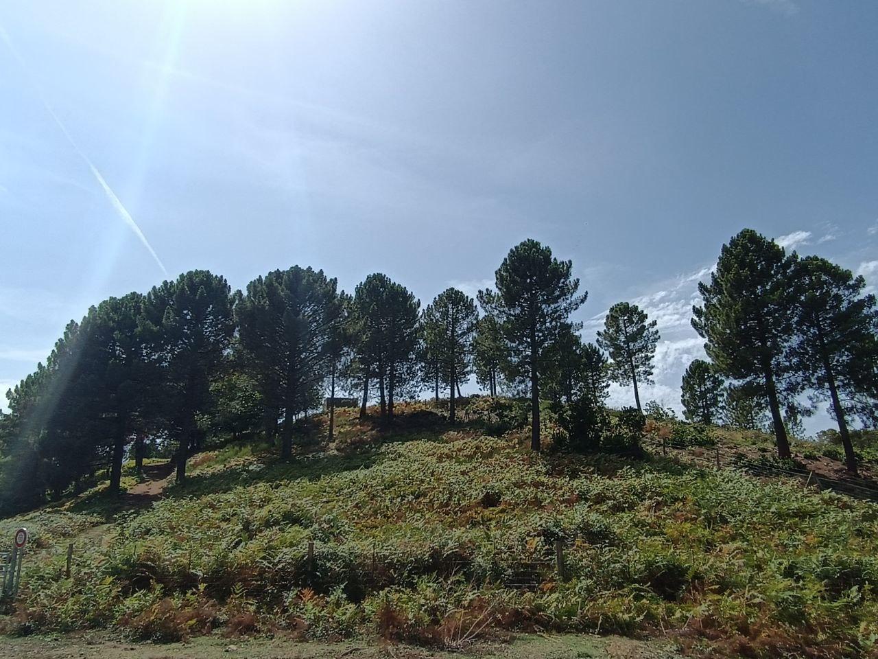 Photo 2023 06 22 13 38 40