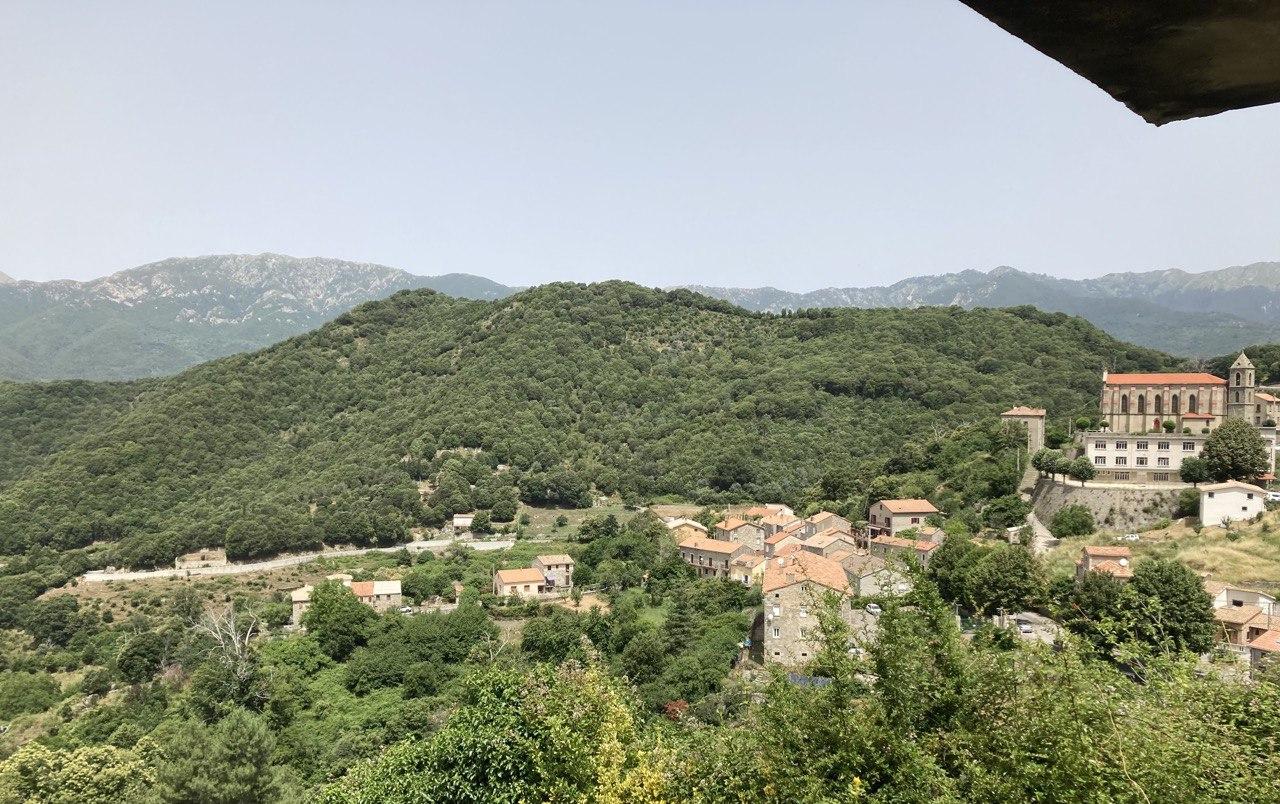 Photo 2023 07 08 14 28 52 2