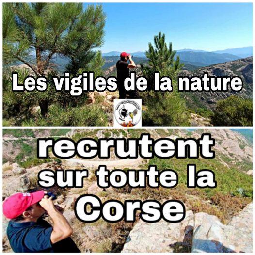 Recrutement2